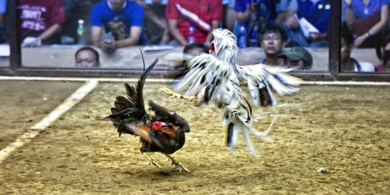 alo789bet ﻿đăng nhập lô đề uy tín