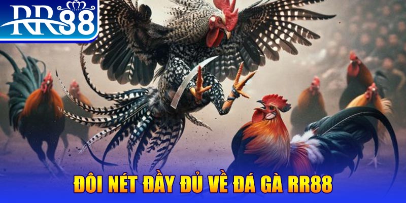 alo789bet gà chọi hoà phong