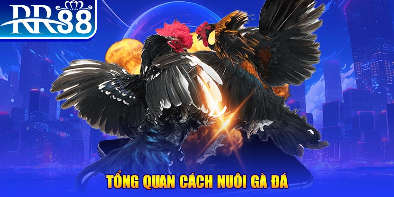 alo789bet xổ số thứ ba