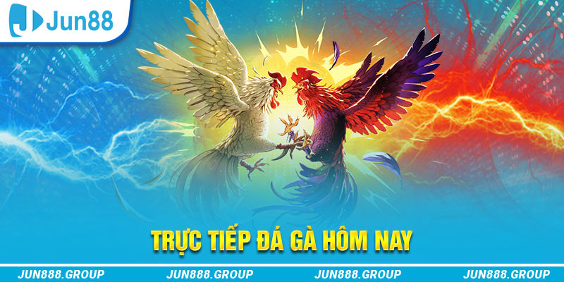 alo789bet trực tiếp đá gà thomo