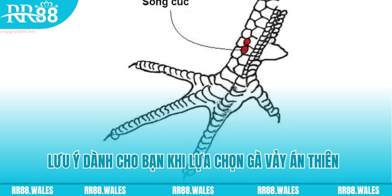 alo789bet xổ số khánh hòa