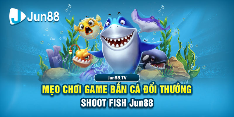 alo789bet tải game đánh bài online về máy tính