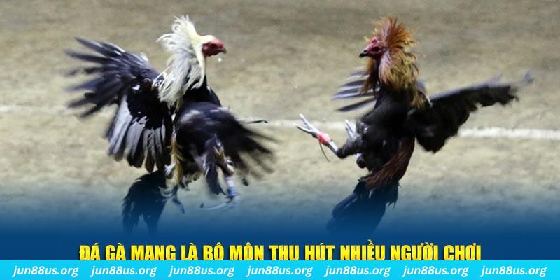 alo789bet xổ số long an