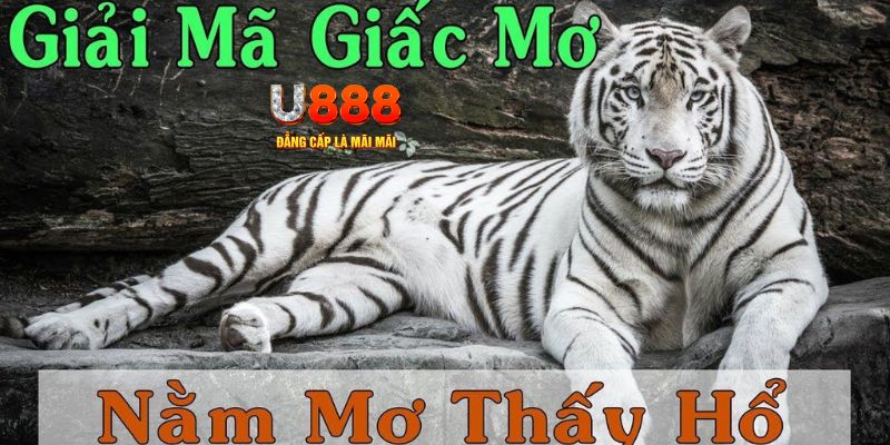 alo789bet Bài Poker Joker