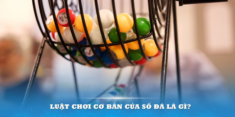 alo789bet Đĩa màu ace