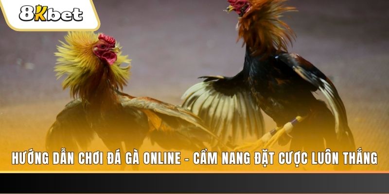 alo789bet tai game danh bai bigkool ve may tinh