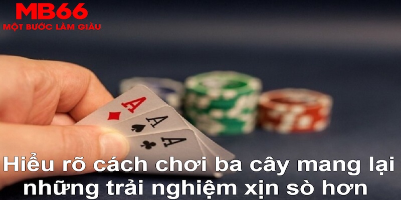 alo789bet DB Trực Tuyến