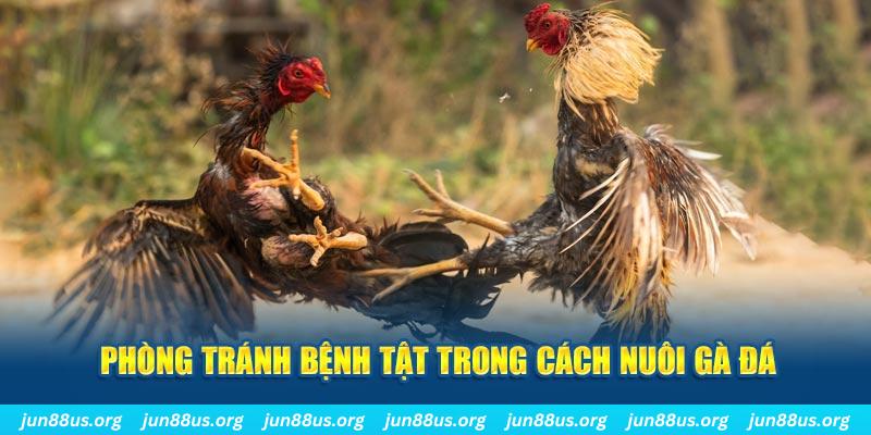 alo789bet natural” trong baccarat nghĩa là gì？