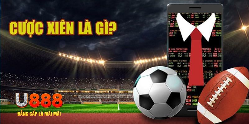 alo789bet đá gà thomo hôm nay
